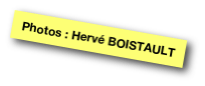 Photos : Hervé BOISTAULT