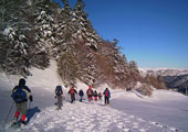 2005-12-Puy de Sancy