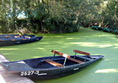 2007-09-Marais Poitevin