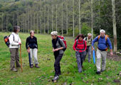 2010-10-Le Fief-Sauvin