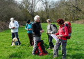 2011-03-Saint-Pierre-Montlimart