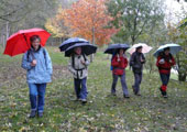 2011-11-Vihiers
